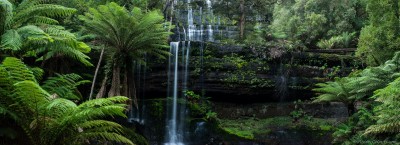 Giant fern trees loom over the lowest cascade of Russell Falls, Mount Field National Park